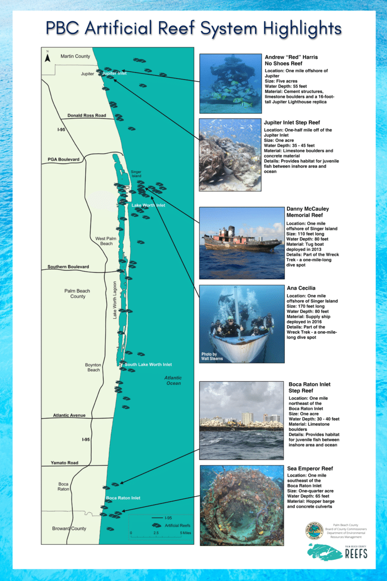 Artificial Reef MAP Poster (24 x 36 in)