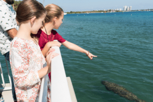 two girls looking at a manatee in the water