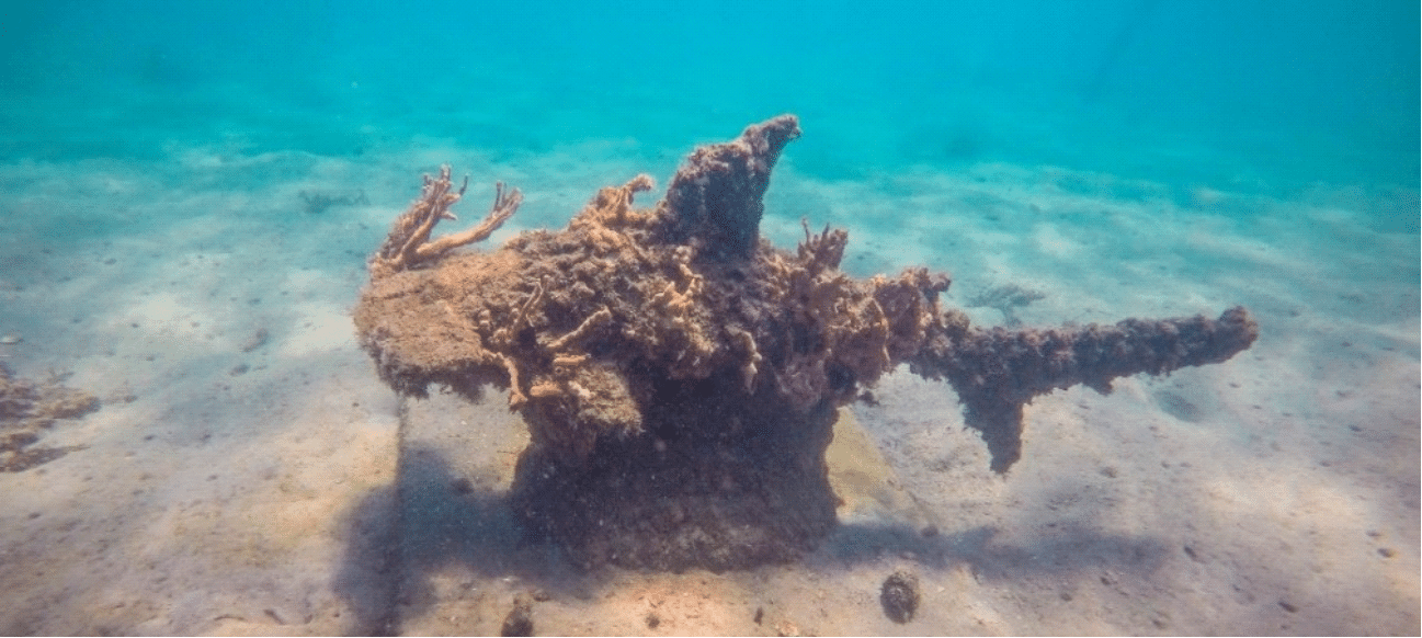 Underwater Coral