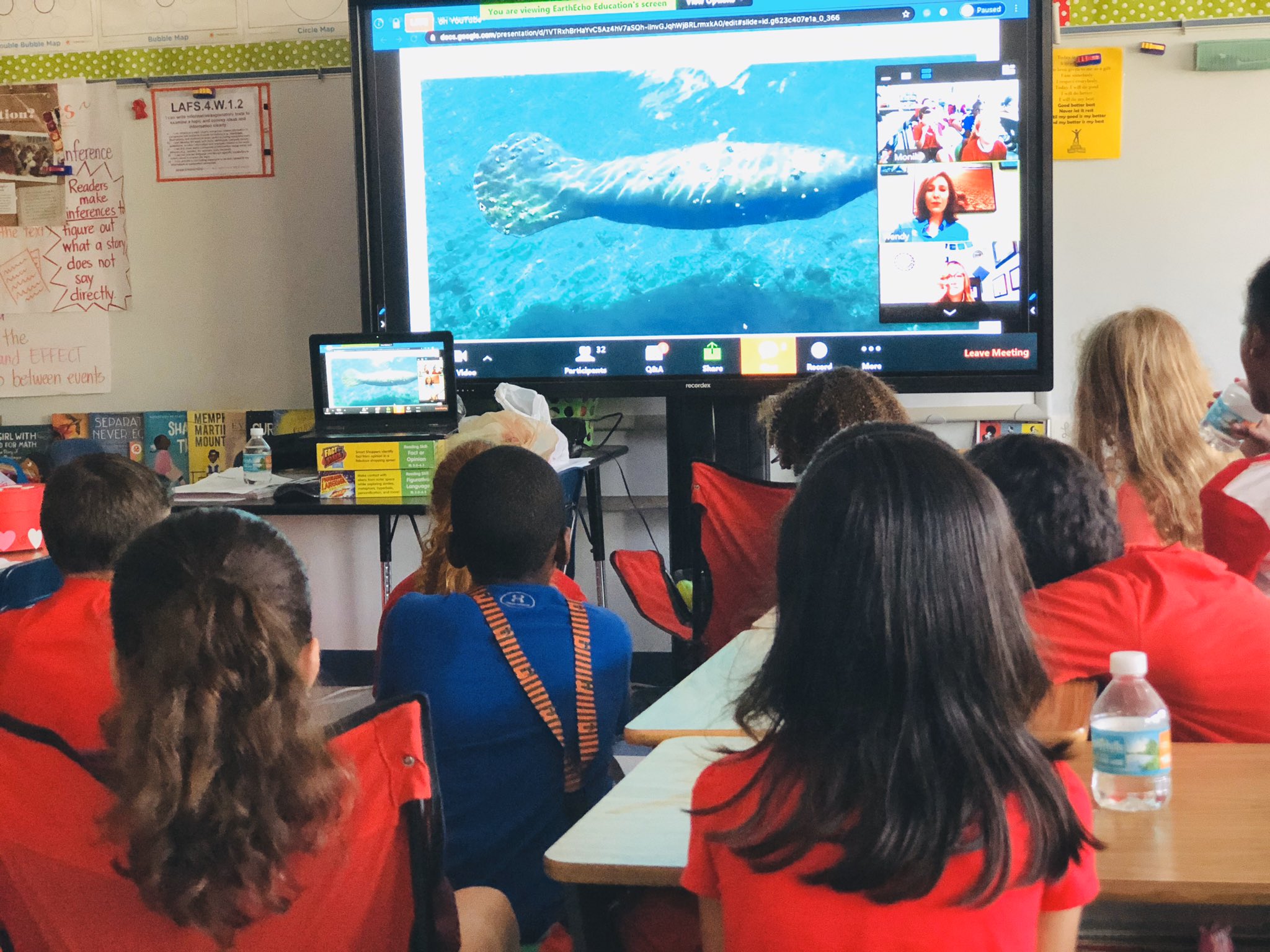 Virtual Field Trips - Manatee Lagoon