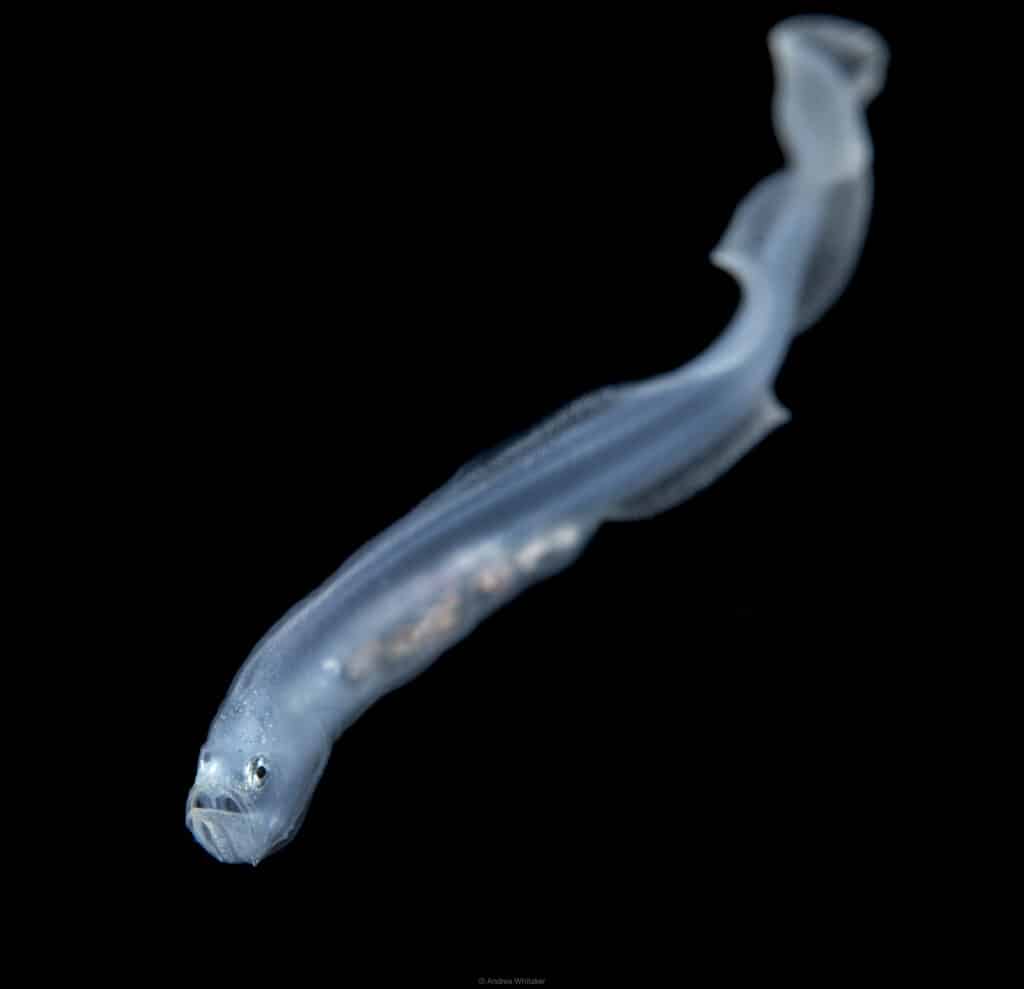 DSC_1158